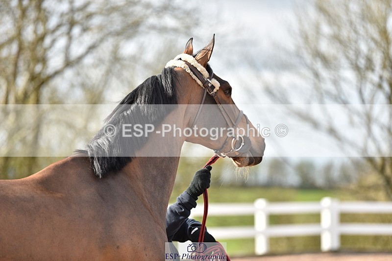 240417A-165412-01324 - 4pm to Finish