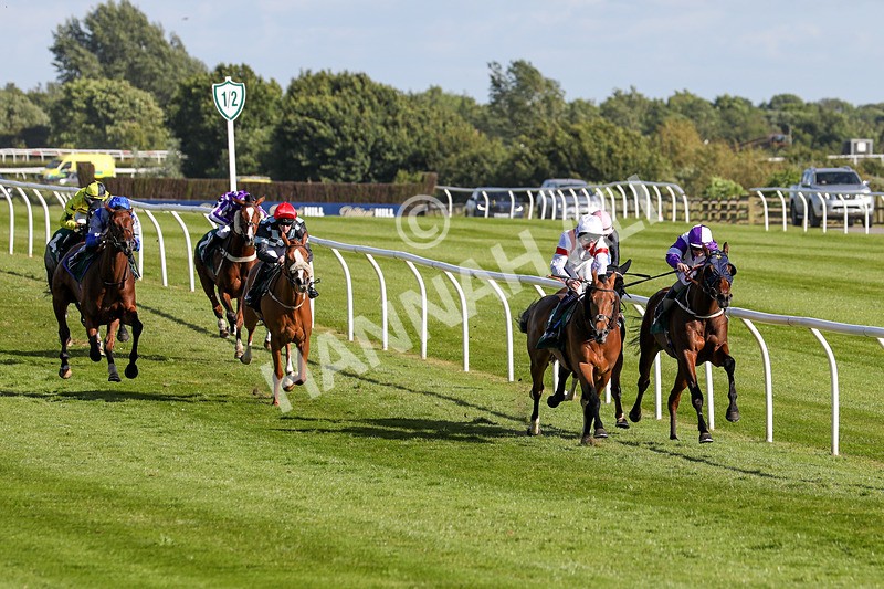 080624-Race 7-Starshine Legend-5088 - Race 7