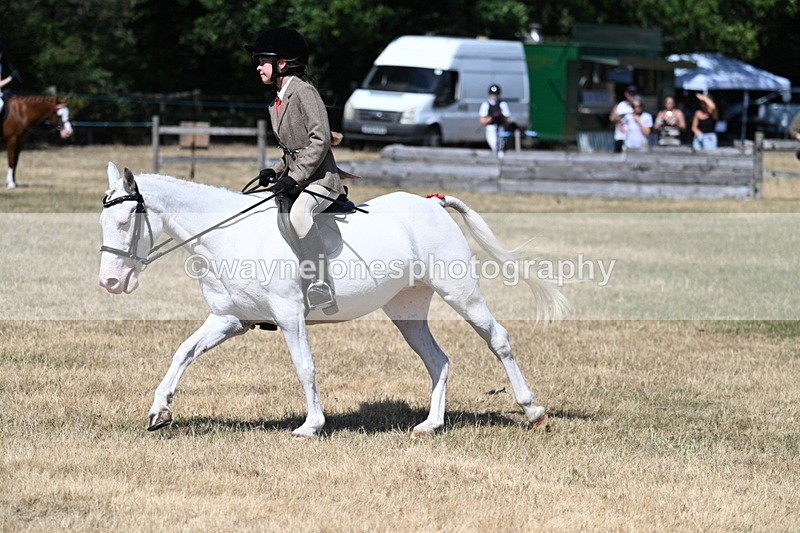 WJ7_3669 - Class 8 Ridden Veterans