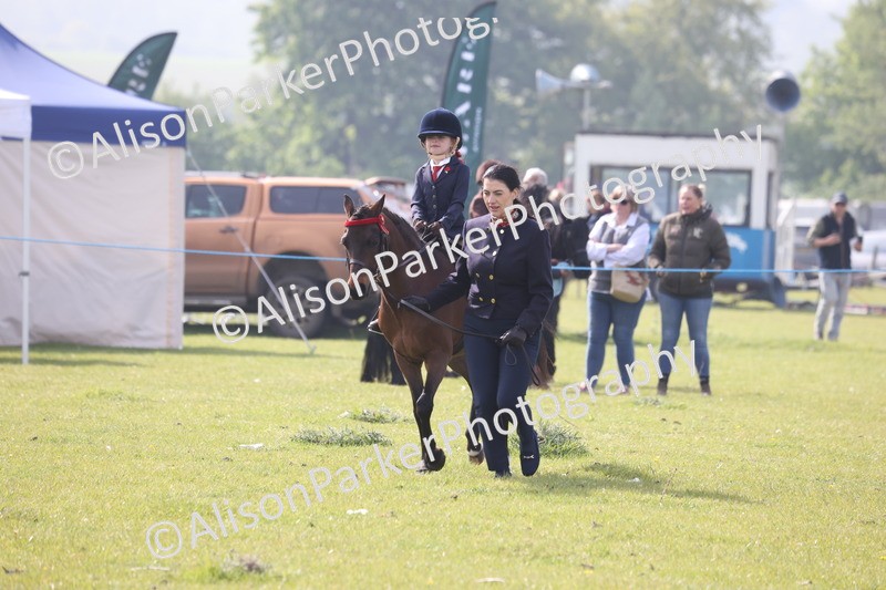 20260426-0361 - Class 30 - Tiny Tots Lead Rein