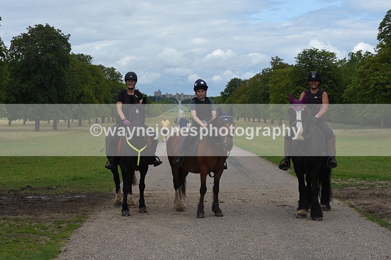 TT3_9732 - Time at Crossing 11:28 to 13:16