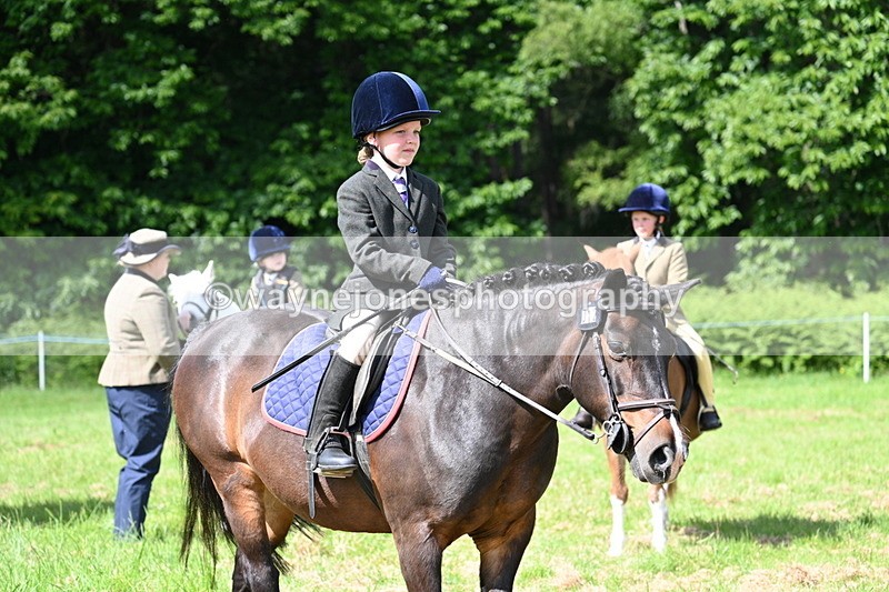 WJ7_0813 - Class 8 First Rally Pony
