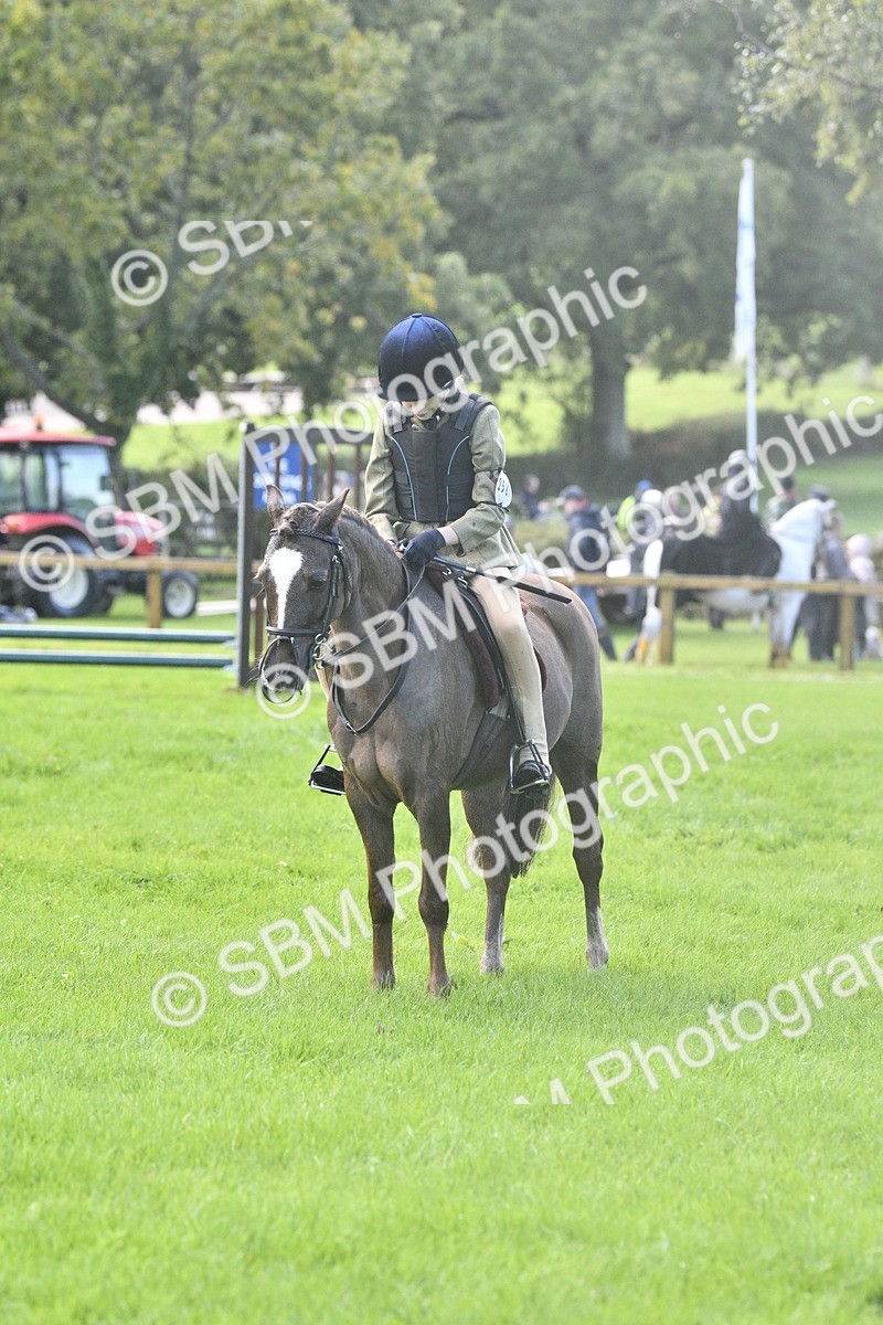 SBM_37200 - S31 - Novice & Newcomer Working Hunter Pony