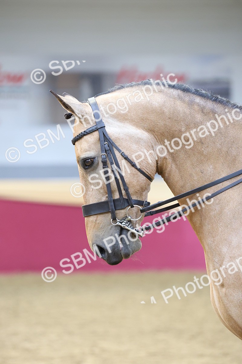 SBM_23648 - class 906 - Supreme Final - Ridden Pre Vet