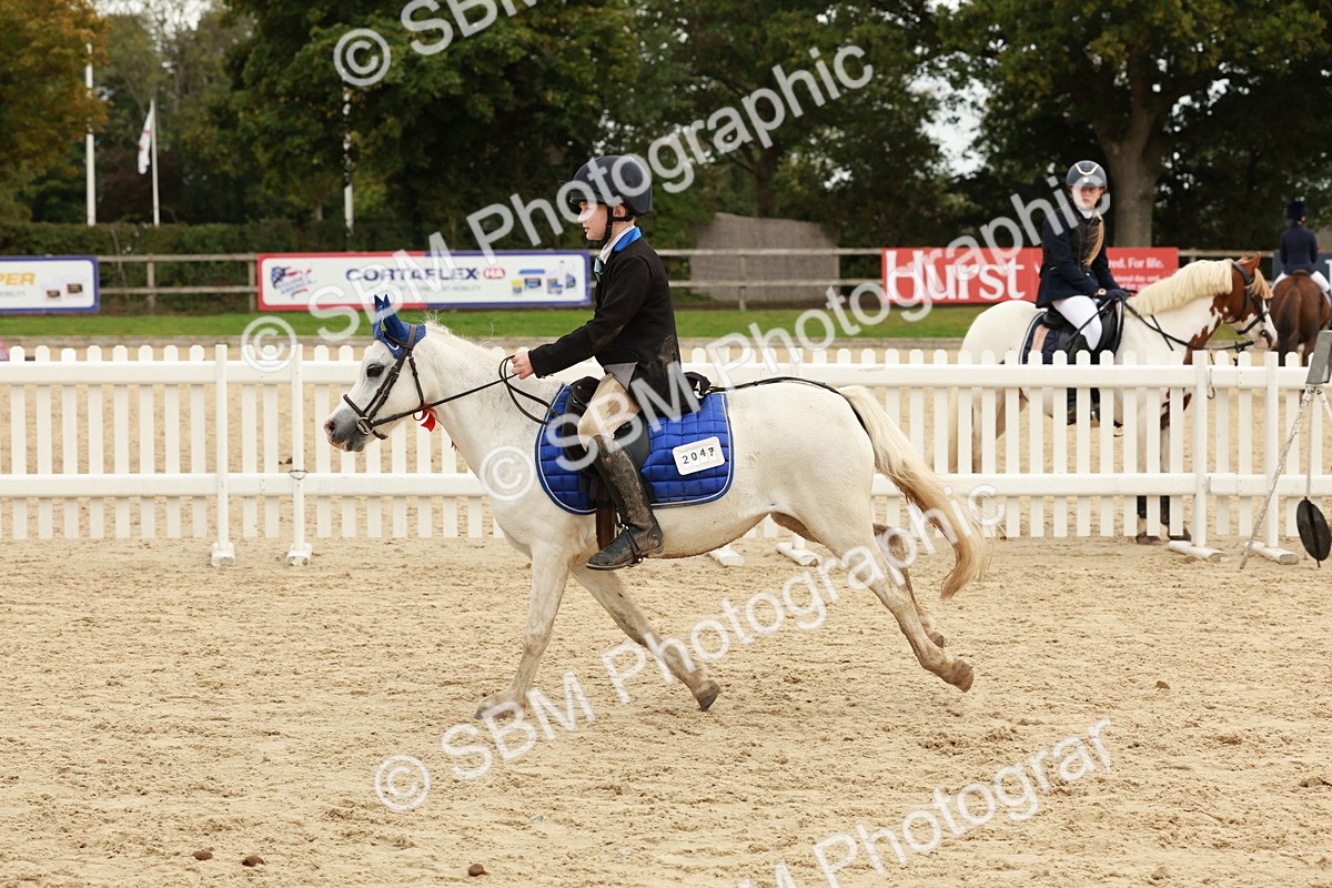 SBM_65378 - Supreme Championship 50cm & 55cm