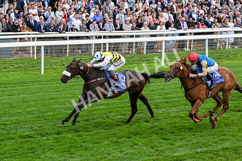 210826-Race 3-Arapaho Gold-0202 - Race 3 15.00pm Al Basti Equiworld Dubai Gimcrack Stakes