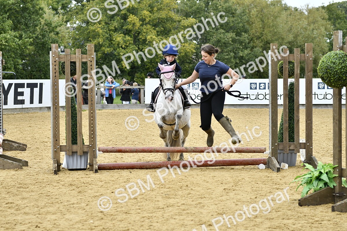 SBM_62719 - J1 - Mini Tour Junior Pony Lead Rein 30cm Championship