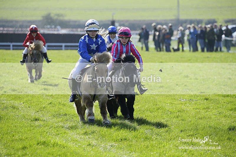 PtP 190322 9 - Wilton Hunt PtP Milborne St Andrew 19/03/22
