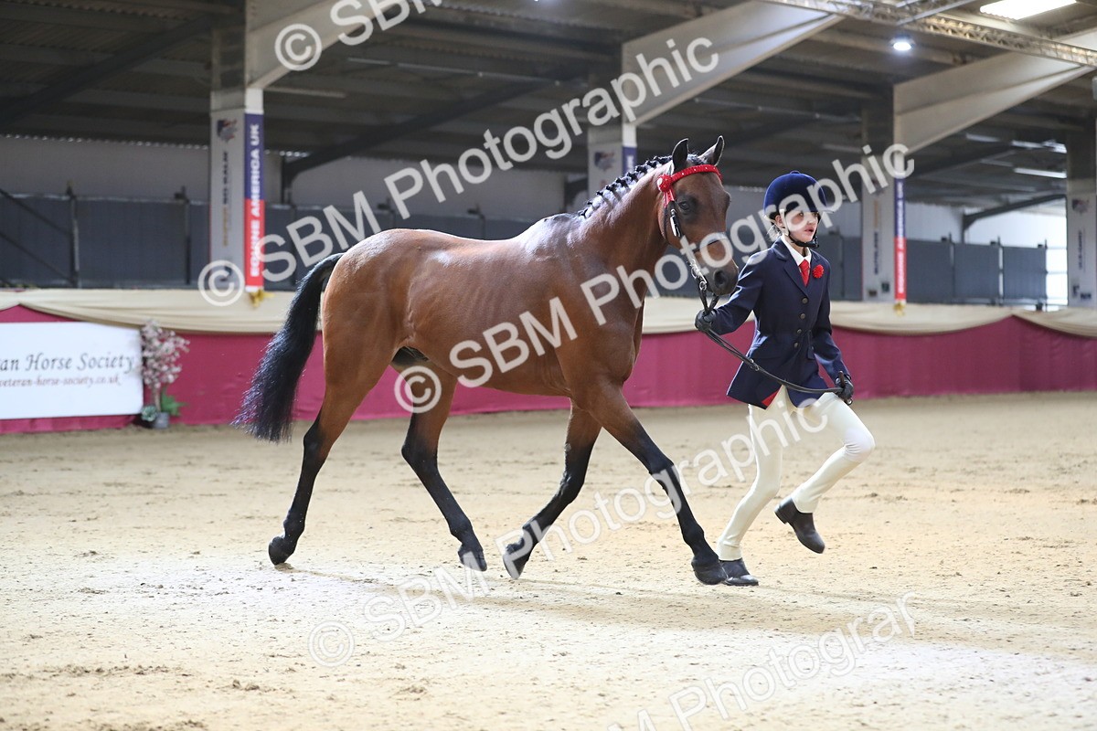 SBM_01294 - Class 3a Area IH Pre Vet