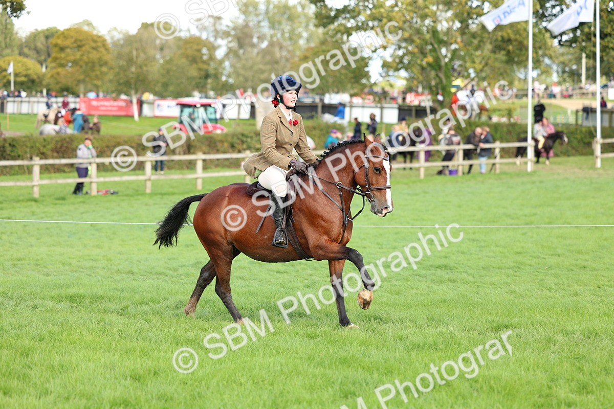 SBM_45511 - S33 - Working Hunter Pony