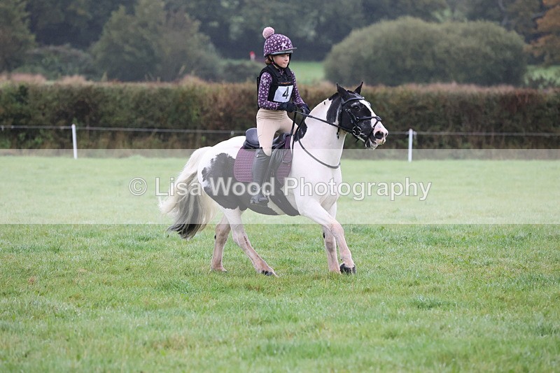 JPP_4981 - Class 1: 65cm : Showjumping