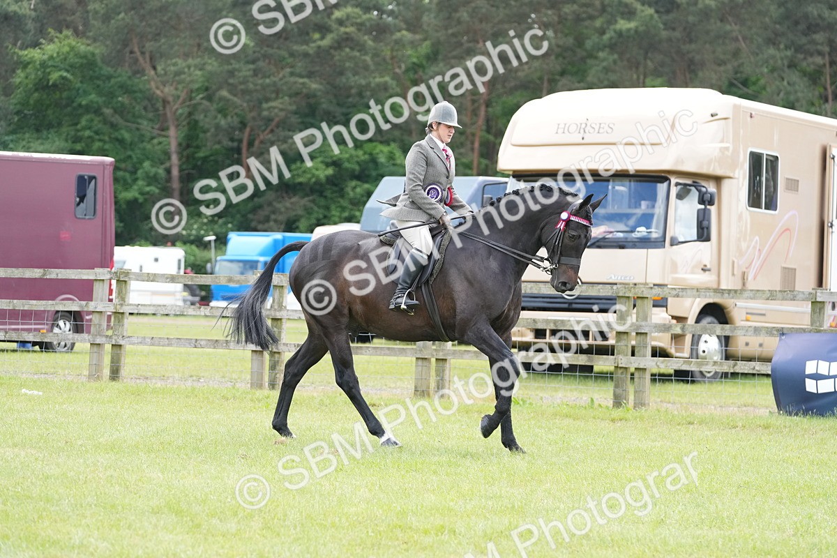 SBM_16228 - Class 105-106 - RIHS Riding Horses