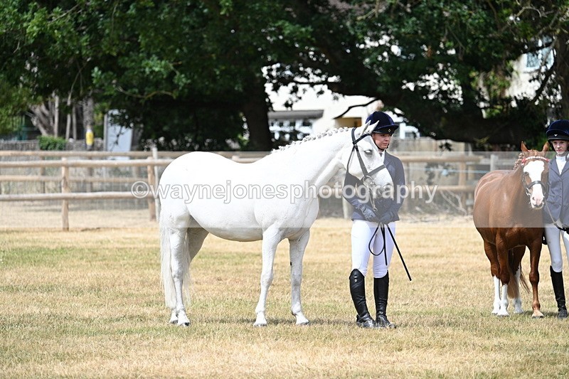 WJ7_1649 - Class 4 Prettiest Mare up to 14.2hh in hand