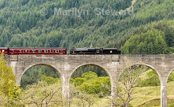 Jacobite train on Glenfinnan viaduct-1 - Scotland