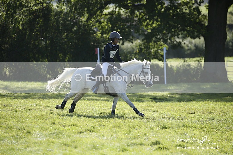  WWHT 031021 814 - WWEC Novice Restricted (0.80m) 18/10/20