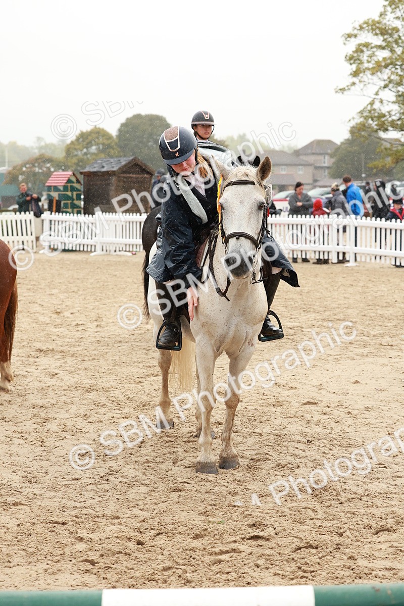 SBM_72303 - J14 - Junior Pony 65cm Championship