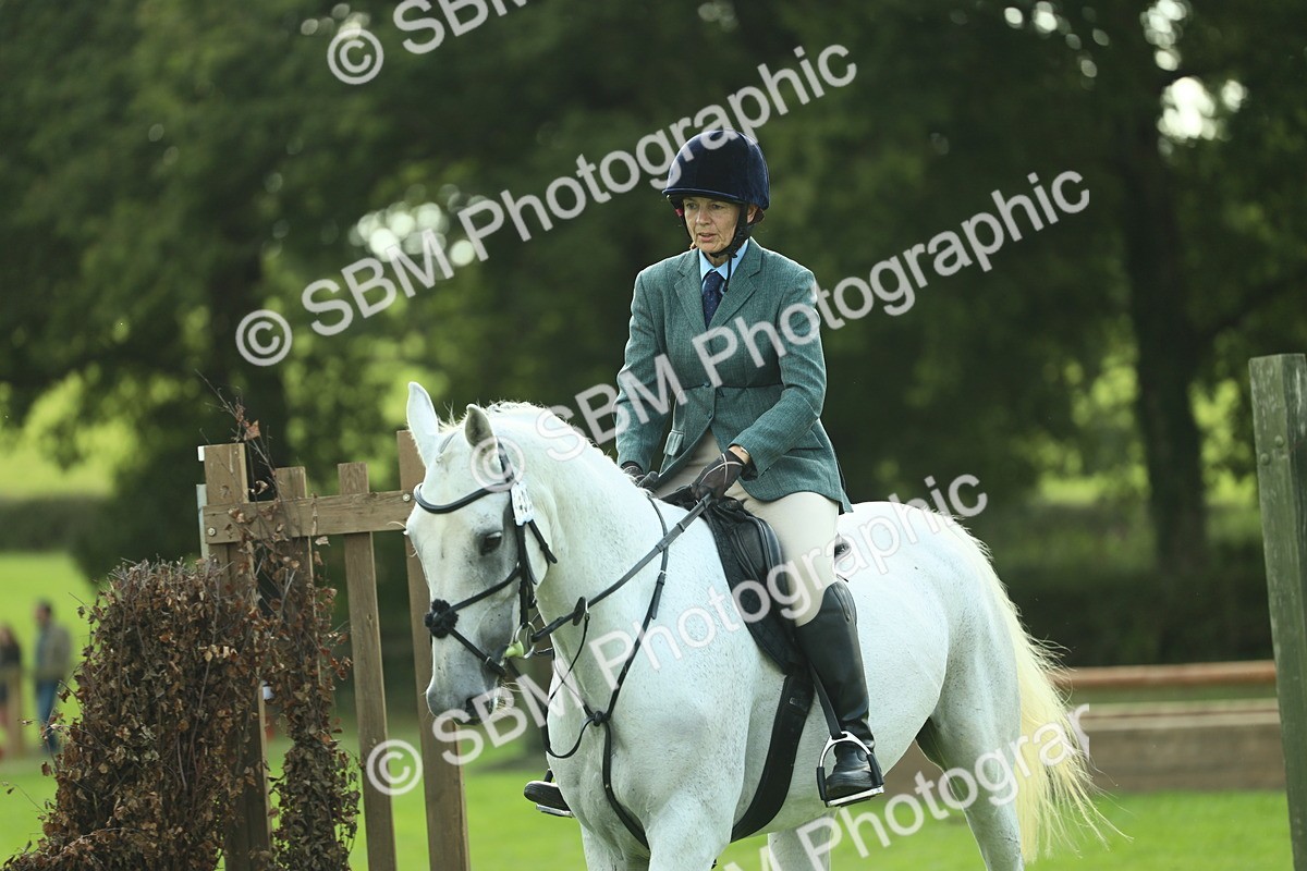 SBM_50689 - S33 - Working Hunter & Working Show Horse
