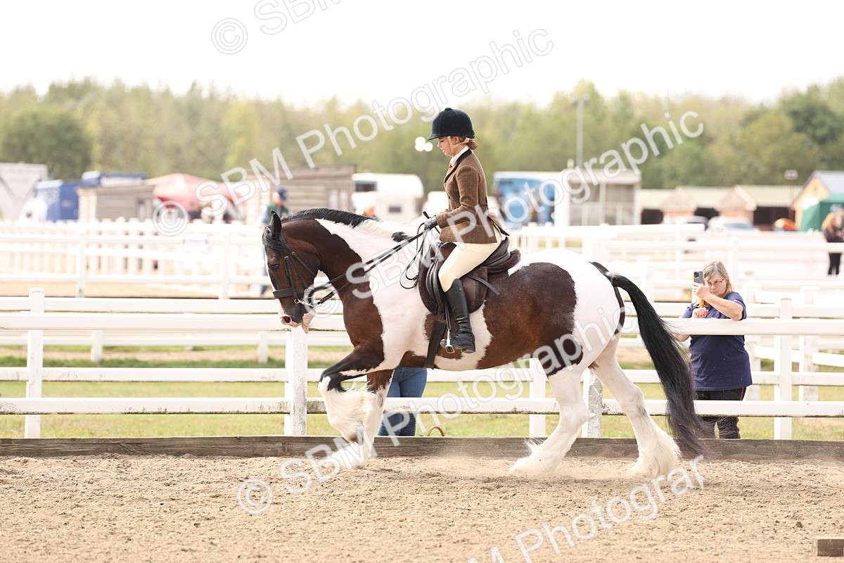 SBM_04270 - Class 54 - Riding Club Horse/Pony