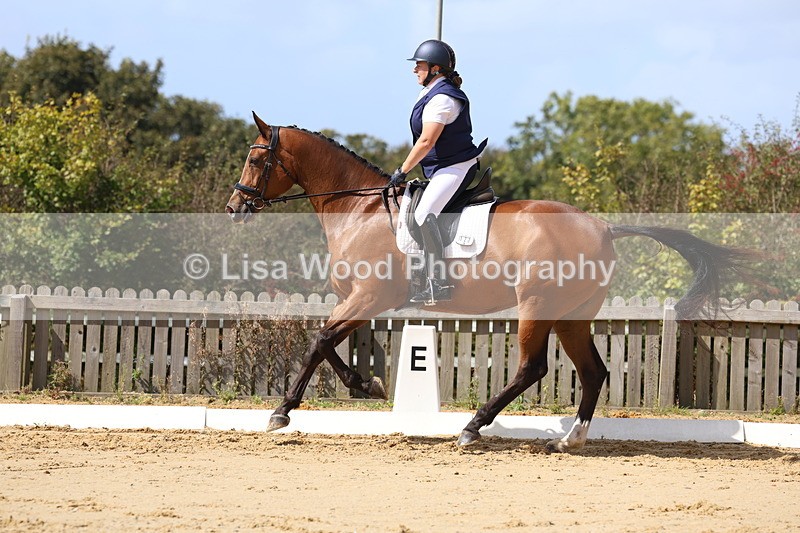 3E7A3690 - Class 8: Novice 6 Section A Championship