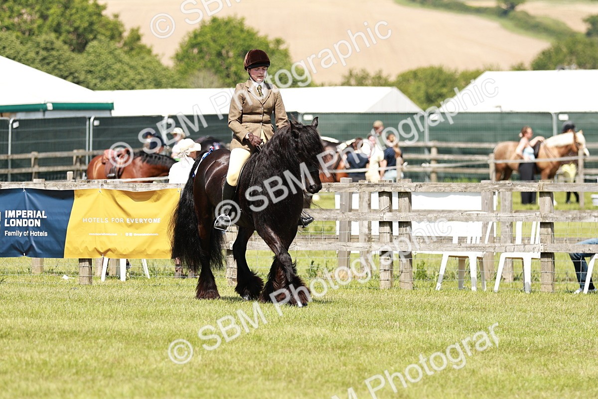 SBM_07117 - Class 26-30 - Mountain and Moorland Ridden