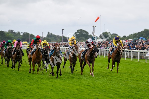 130724-Race 1-Blue For You-6932 - Race 1 2.00pm John Smith's Racing Handicap