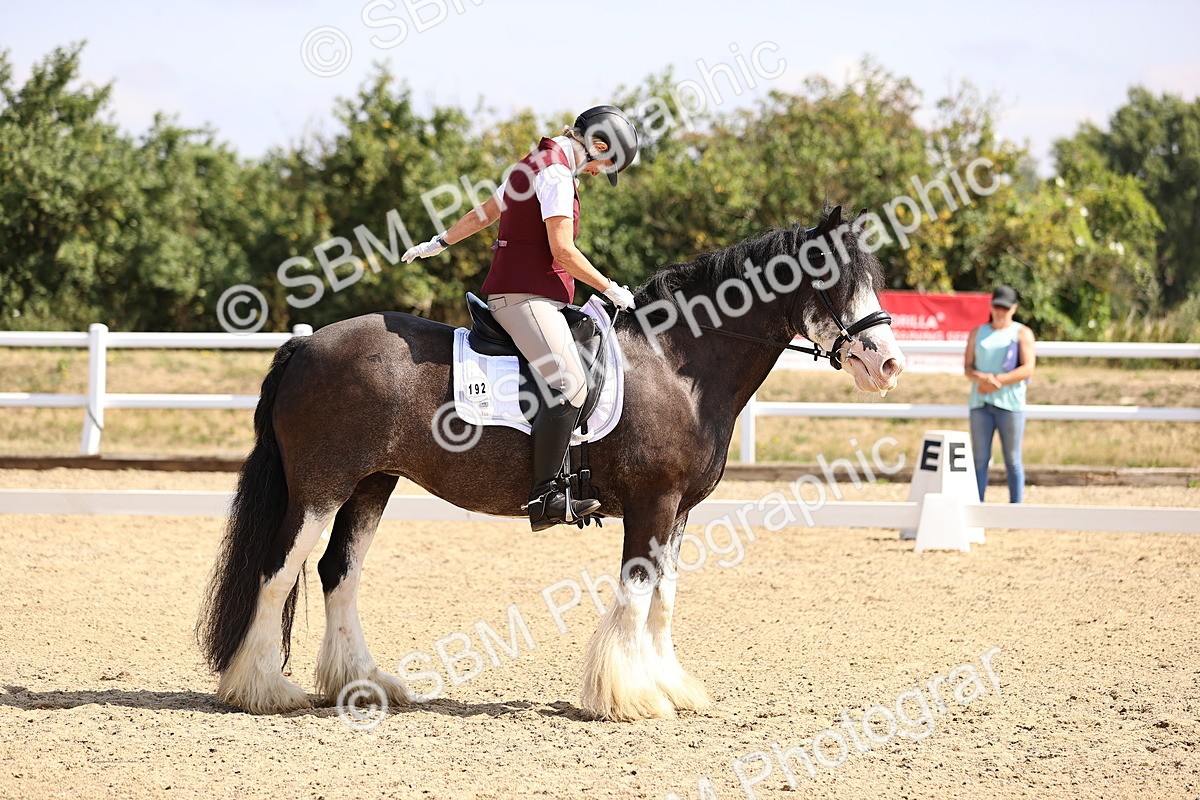 SBM_006495 - Intro 3 - 9.46-10.46