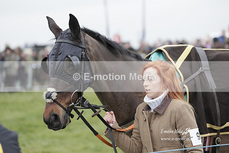 PtP 050323 379 - Blackmore & Sparkford Vale Hunt PtP - Somerset 05/03/23
