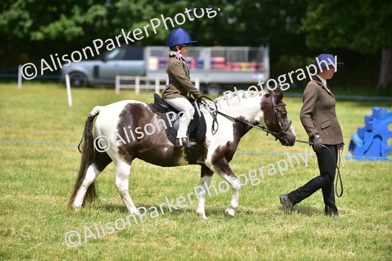 20260614-1348 - Class 11b - Lead Rein Pony (Plaited)