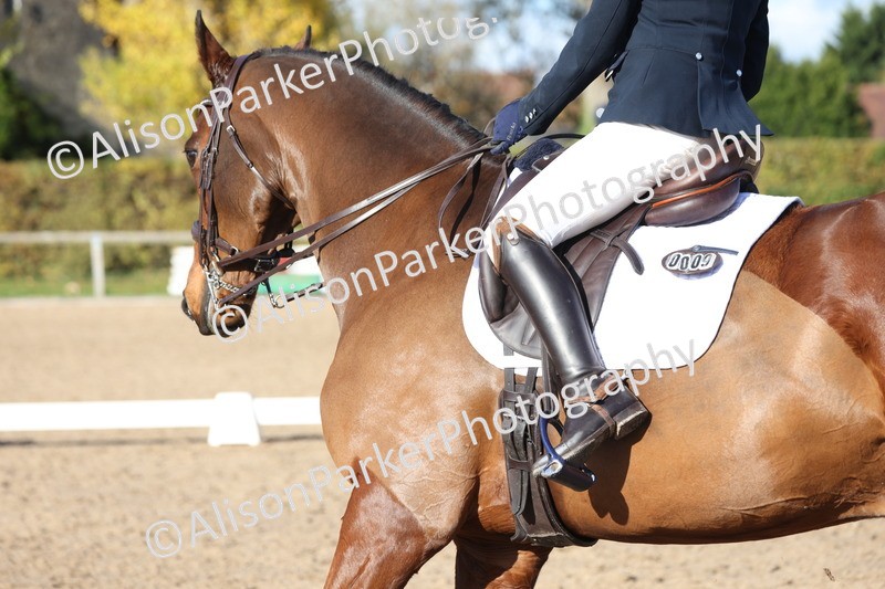 20251102-1024 - Class 5 - Elementary 5