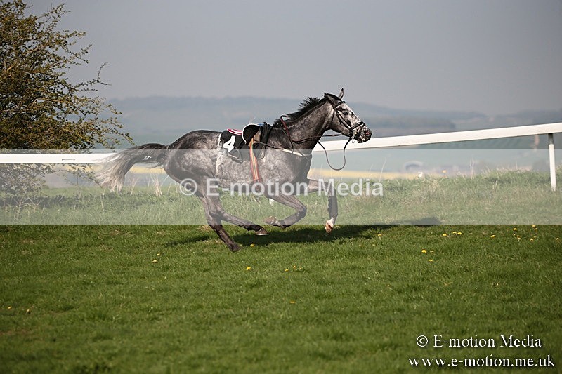 PtP 210418 626 - South & West Wilts Point-to-Point Larkhill 21/04/18