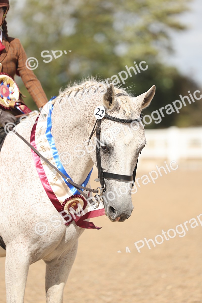 SBM_23332 - Young Rider Championship