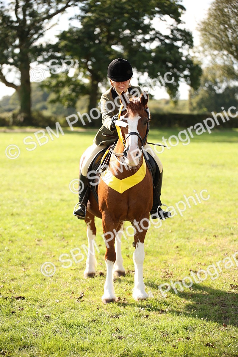 SBM_50091 - S26 - Young Veteran - Ridden