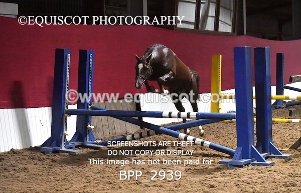 BPP_2939 - LOOSE JUMPING / SPSS