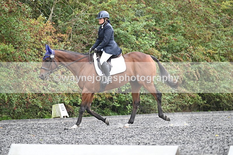 WJ7_6481 - Time 14:49 to 15:14