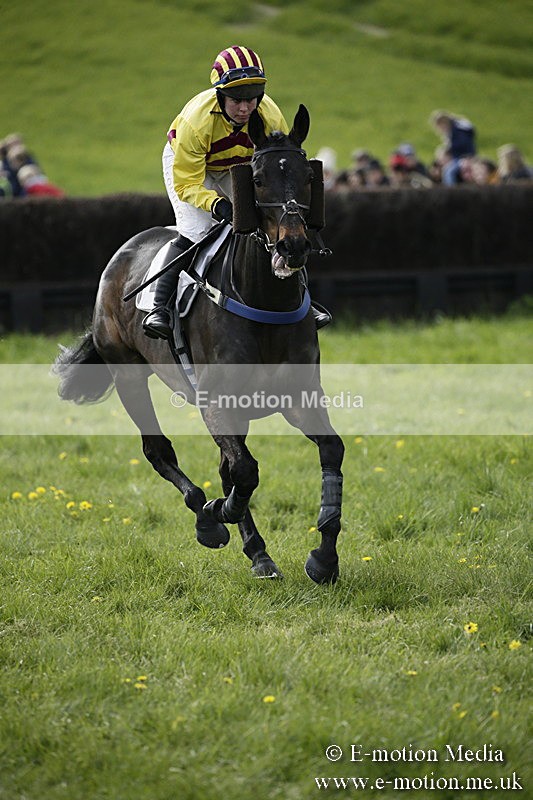 PtP 170417 439 - Old Berks Point-to-Point Lockinge 17/04/17