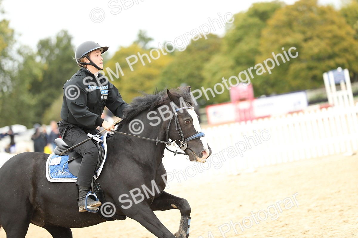 SBM_65980 - J48 - Pairs Jumping Open 70cm & 85cm