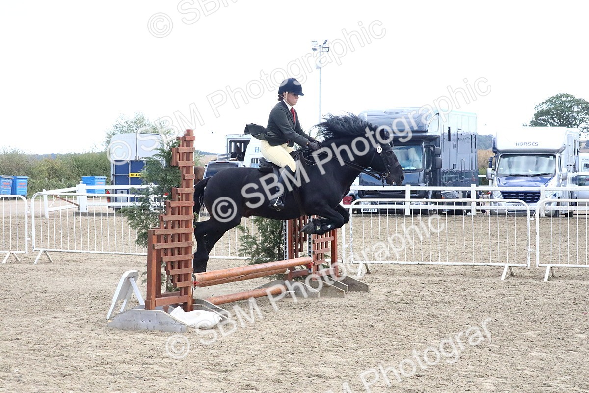 SBM_13392 - Class 505b - M&M Working Veteran  50cm (20+)