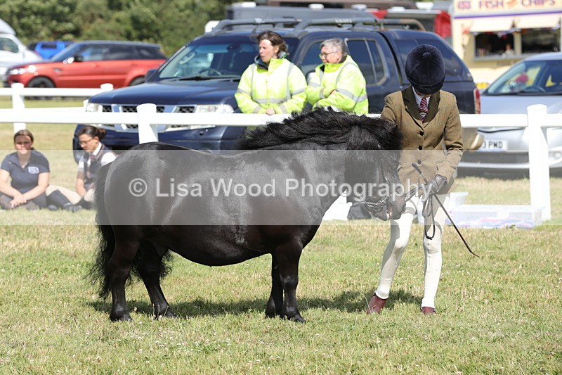 1X9A5630 - Class 39: NPS Dartmoor, Exmoor, Shetland