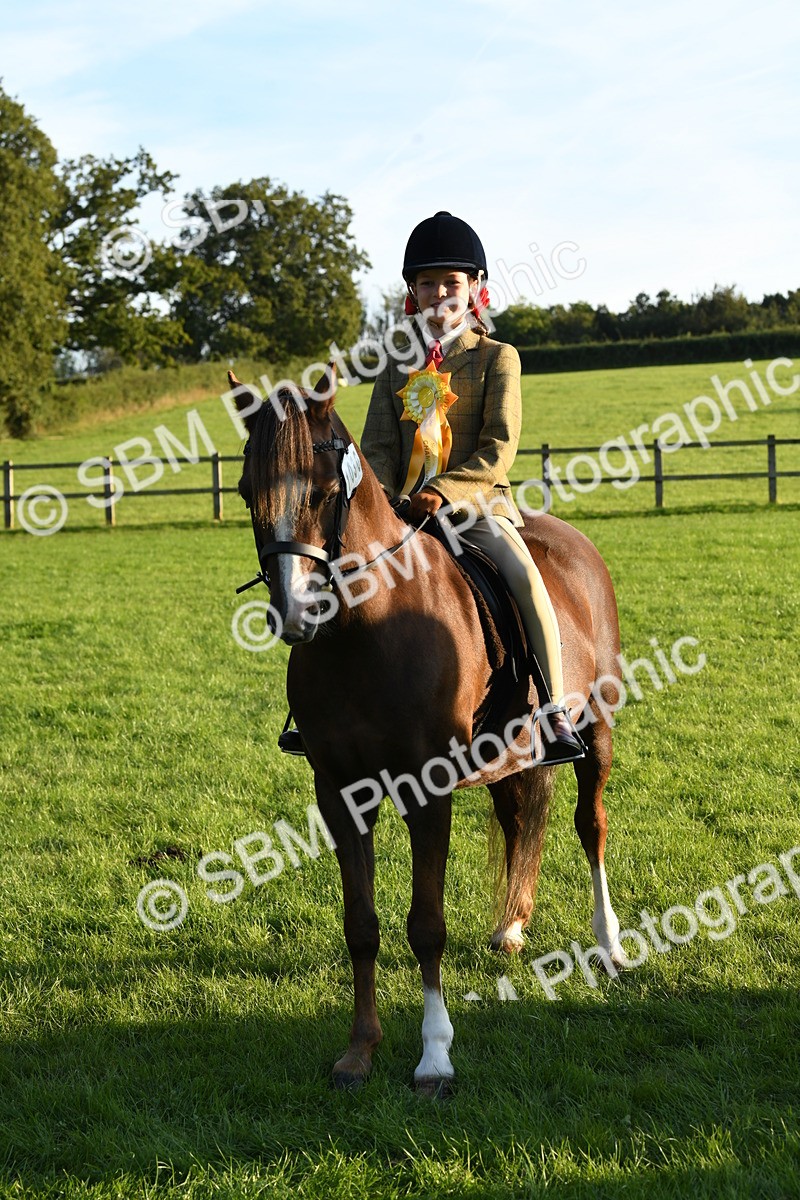 SBM_54176 - S23 - 1st Ridden Mountain & Moorland Pony