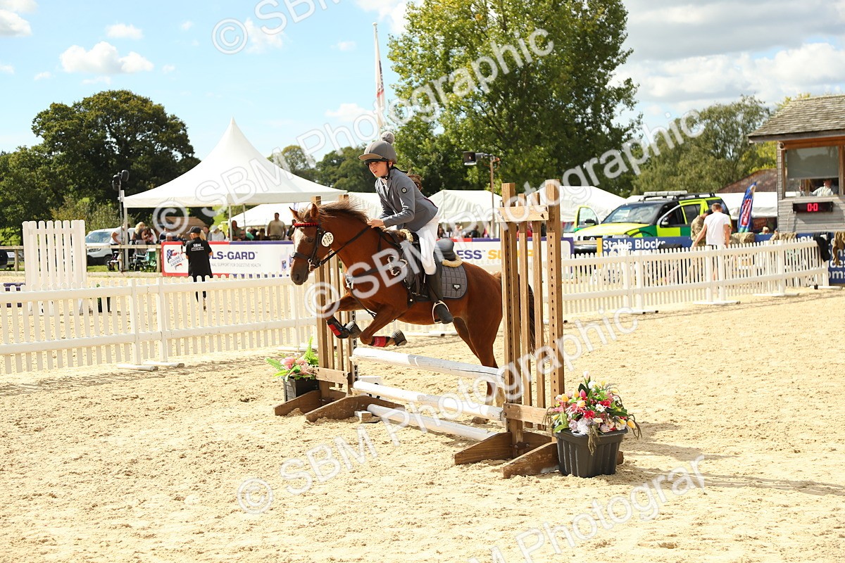 SBM_41338 - J6 - Junior Pony 55cm Championships