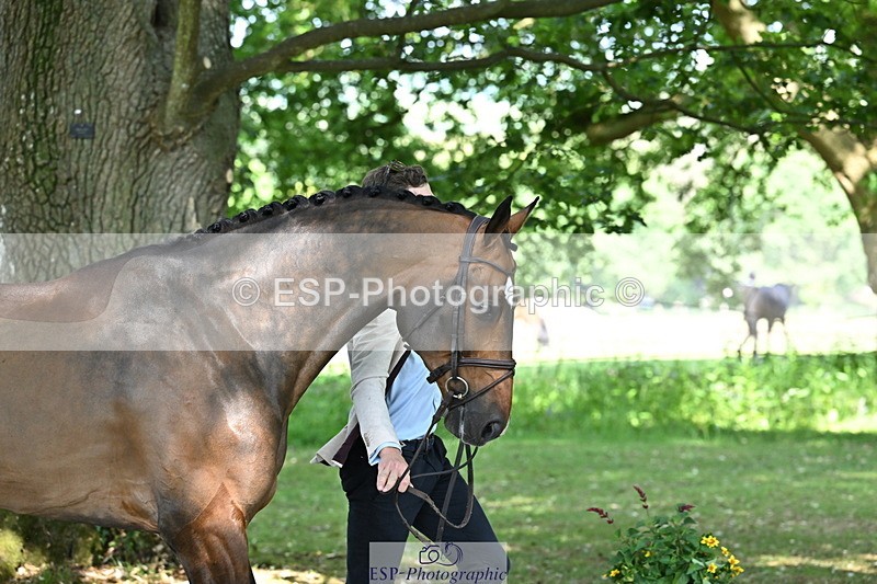 250521A-154818-00773 - B-367-Tom.Grant-QUID