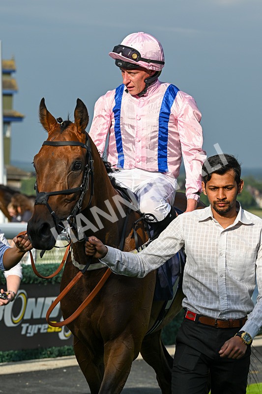 170625-Race 2-Gloriously Sassy-6114 - Race 2