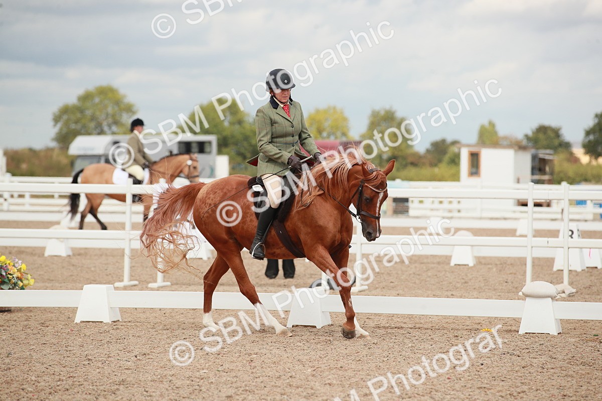 SBM_05995 - Class 32 - Novice 1