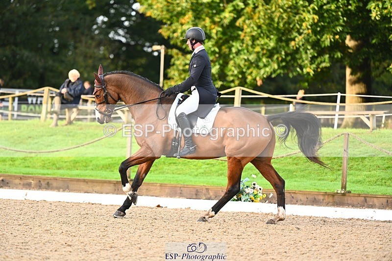 231021-085828-12727 - 321-MAN.ABOUT.TOWN.II-David.Doel-DR