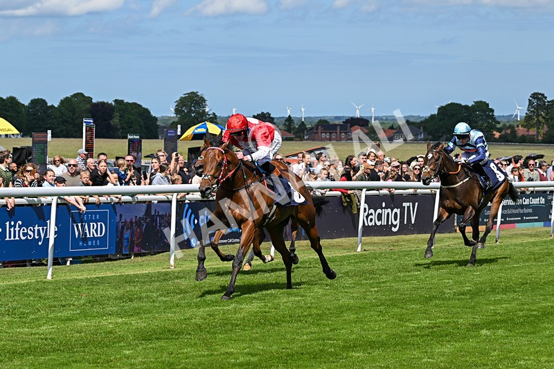 280525-Race 3-Rogue Invader-4833 - Race 3