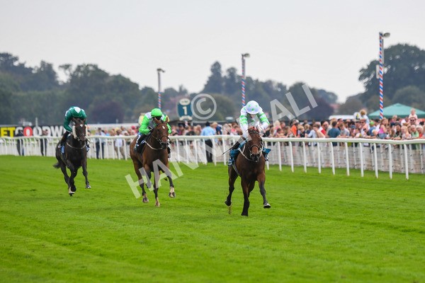 100923-Race 3-Yorkindness-0636 - Race 3 2.45pm Fine Details Vehicle Valeting Handicap