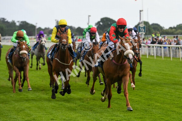 yr10062022r5-30 - Race 5 4.05pm Irish Thoroughbred Marketing Stakes