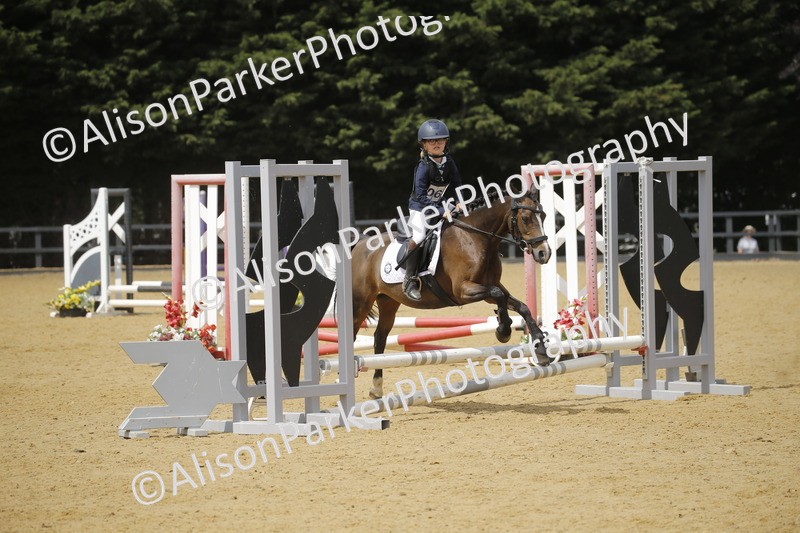 20250622-4115 - 50cm