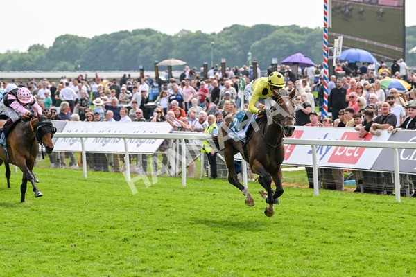 170524-Race 2-Botanical-7674 - Race 2 2.45pm Knights Solicitors Handicap