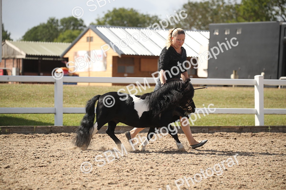 SBM_23103 - Class 606 - 2026 - Area - IH Pre Vet